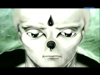 ��������� �����. �����������. ������������� ����� (2010/SATRip)