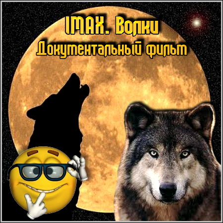 IMAX. ����� - �������������� ����� (BDRip/819.73 Mb)