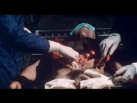 ����� ���������� ����: ������ ������������ � �������������� ����� (DVDRip/1.1 Gb)