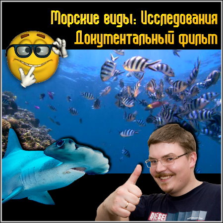 ������� ����: ������������ - �������������� ����� (BDRip/1.2 Gb)