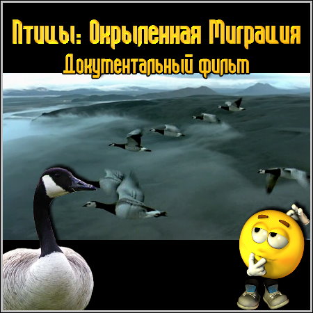 �����: ���������� �������� - �������������� ����� (BDRip/1.6 Gb)