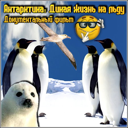 ����������: ����� ����� �� ���� - �������������� ����� (BDRip/1.6 Gb)