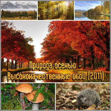 ������� ������ - ������������������ ���� (2011)