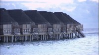 ������ �����. �������� / World Class. Maldives (2010) HDTV