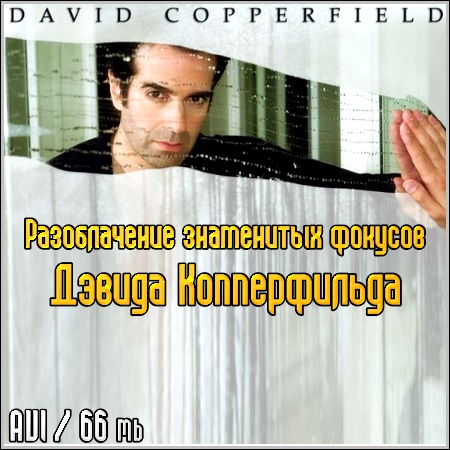 ������������ ���������� ������� ������ ������������ (2011/AVI)