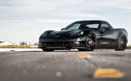 ������ ���� �������� �����. ����� 84