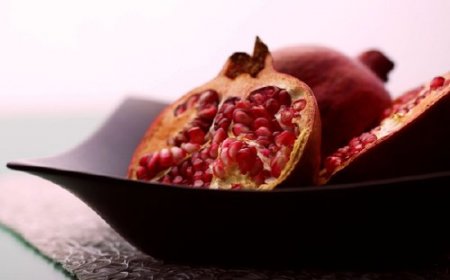 ��������� ���� �����. ����� 16