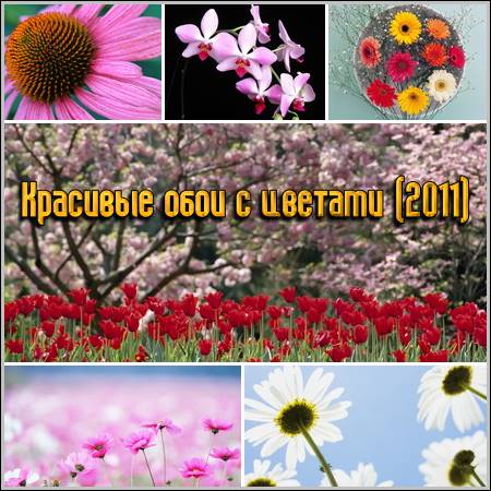 �������� ���� � ������� (2011)