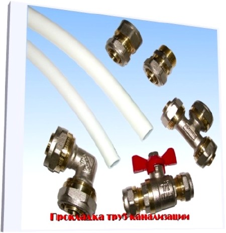 ��������� ���� ����������� (2010) DVDRip