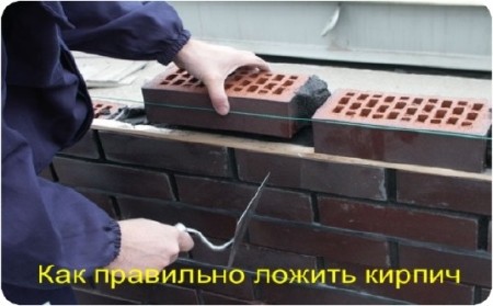 ��� ��������� ������ ������ (2010) DVDRip