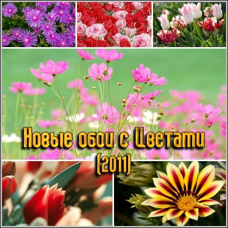 ����� ���� � ������� (2011)