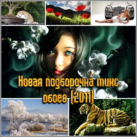 ����� ���������� ���� ����� (2011)