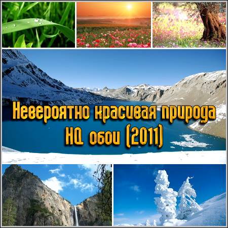 ���������� �������� ������� � HQ ���� (2011)