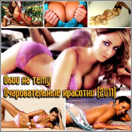 ���� �� ���� �������������� �������� (2011)