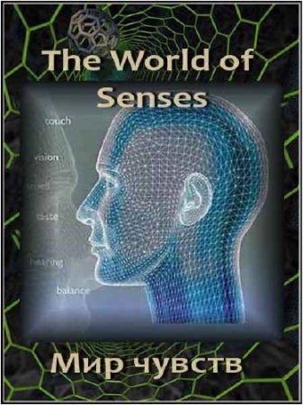   / The World of Senses (2010) SATRip