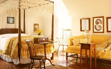 ��������� ���� �����. ����� 24