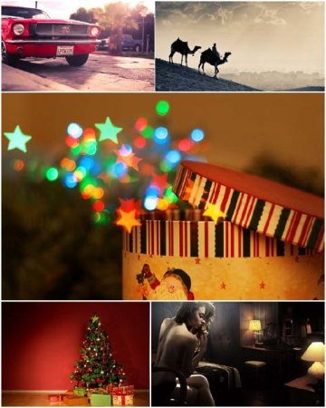 ��������� ���� �����. ����� 24