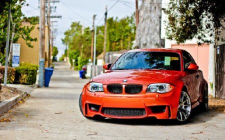 ��������� ���� �����. ����� 24