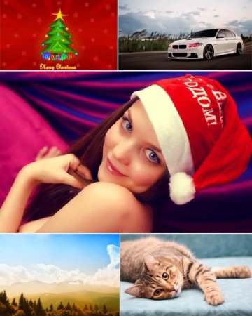 ������ ���� �������� �����. ����� 91