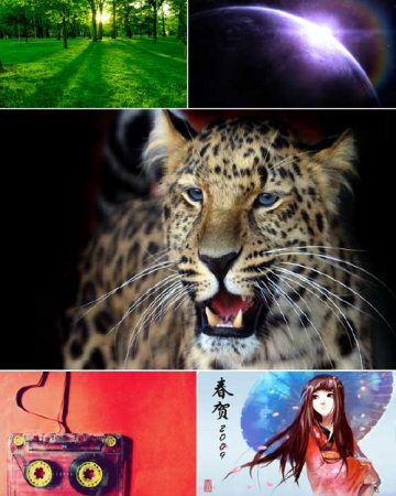 ������ ���� �������� �����. ����� 94