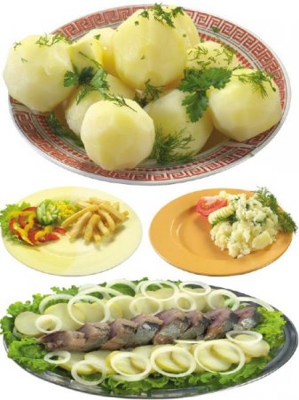 ��������: ��� - ����� �� ���������