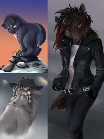 ����� �������� � ������� ����������� ��������� ��� ����� North Sheltie