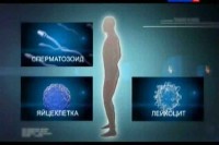 ����� 2.0. ������������ ������. ��������������� (2011) SATRip 