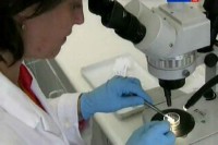 ����� 2.0. ������������ ������. ��������������� (2011) SATRip 