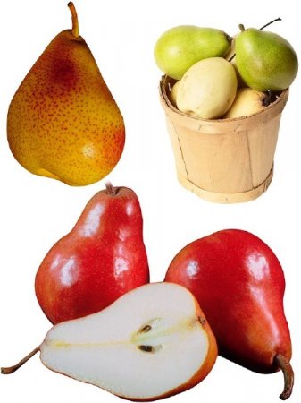 ��������: ������ - �����