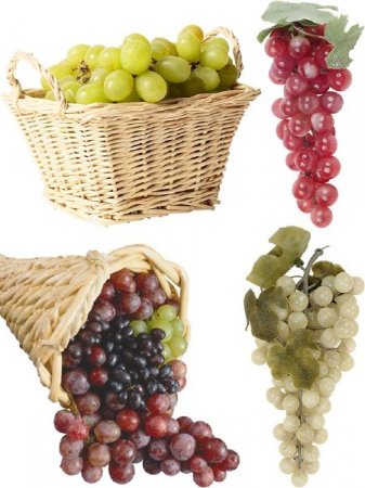 ��������: ����� - ��������