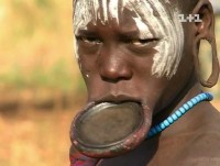 ��� ��������� 3: ������ (2012) SATRip 