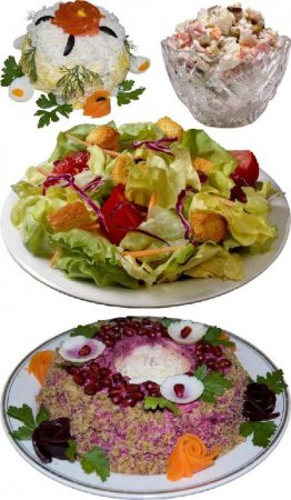 ��������: ����� - ������, ������, ������, ��� �����, ������� � ��.