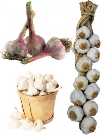 ��������: ����� - ������