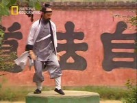  - :  -   / The Kung Fu Dragons of Wudang (2008) SATRip 