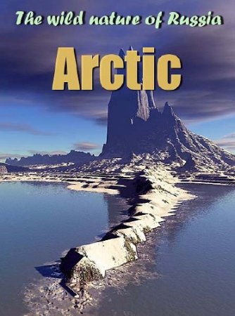 ����� ������� ������. ������� / The wild nature of Russia. Arctic (2010) HDTV 