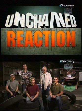 ������ ������� (������ 1) / Unchained Reaction (2012) SATRip 