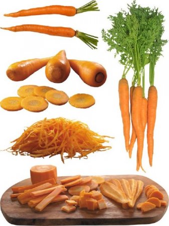 ��������: ����� - �������� � �������