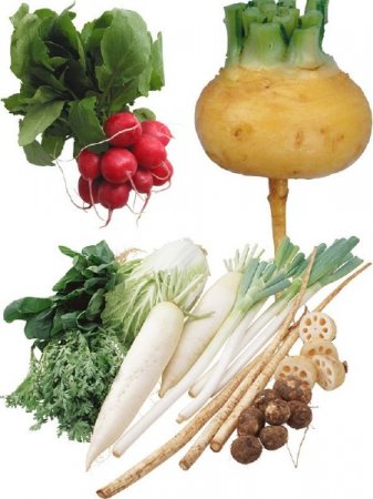 ��������: ����, ������, ���������, �������, ������, ���������, ��������, �����