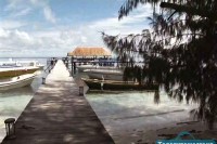 80 �������� ������ �����: ����� - �������� ������ / Il Giro Del Mondo In 80 Isole. Valea, isole segreta (2011) SATRip 