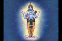 ����������� ������. E����� ������� ���� (2010) DVDRip 