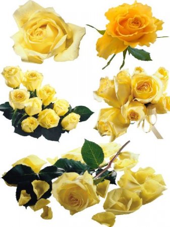 ��������� ��������: ������ ����