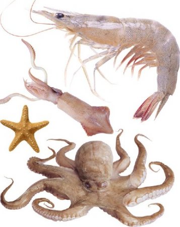 ��������: ��������, ���������, ��������, ������� ������