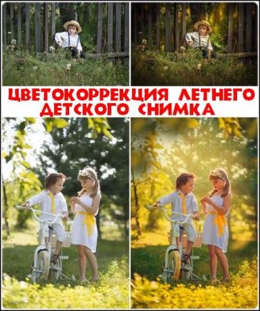 �������������� ������� �������� ������ (2017) HDRip