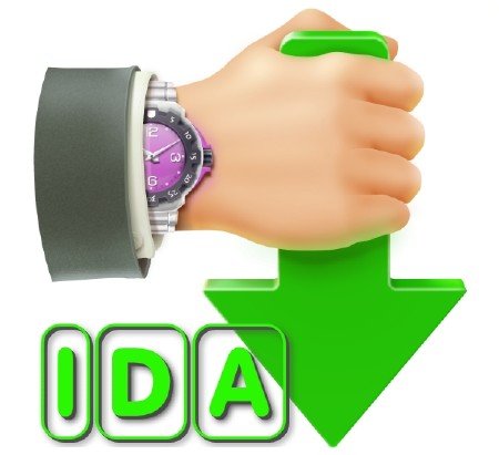 Internet Download Accelerator Pro 6.14.1.1579 Final + Portable