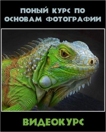 ����� ���� �� ������� ���������� (2017) HDRip