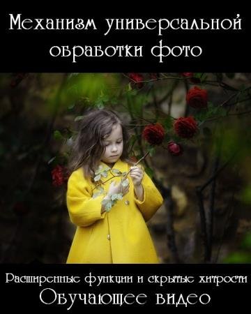 �������� ������������� ��������� ���� (2017) PCRec