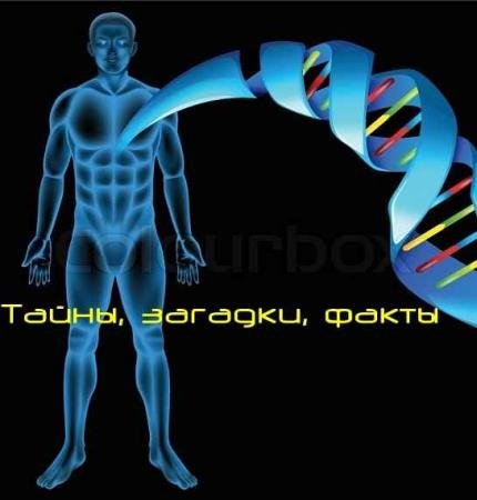 �����, �������, �����. ������� ����