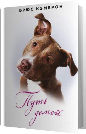 ������� ���� - ���� ����� (����������)