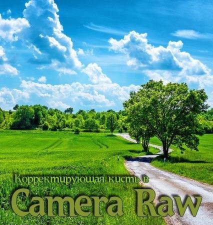    Camera Raw (2018) PCRec