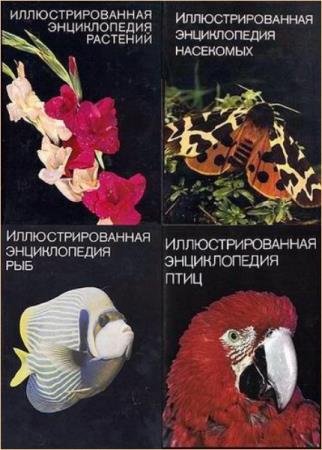 ��������� - ���������������� ������������ (6 ����)